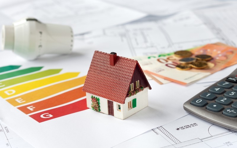 DPE d'une maison dans le cadre d'une rénovation énergétique et discussion autour des aides accordées pour MaPrimeRénov' dans le cadre du budget de la loi finances 2025